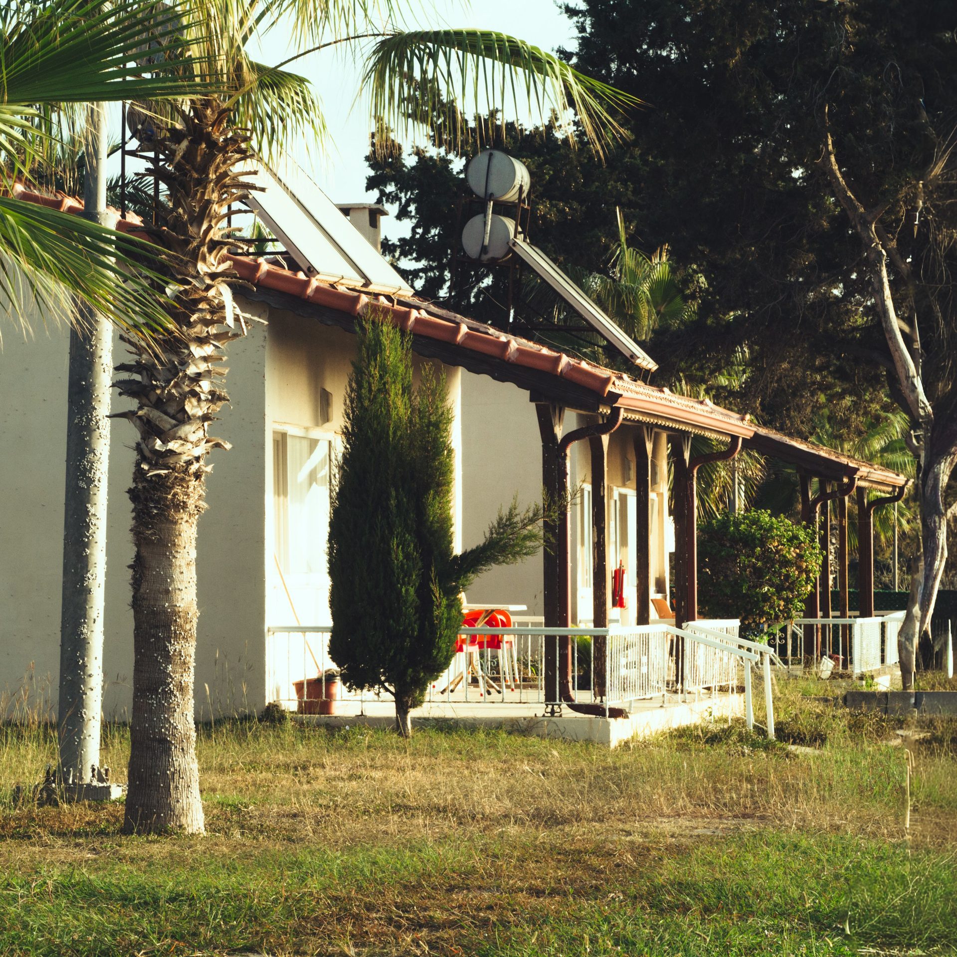 Casas residenciales de estilo tropical con palmeras y luz de atardecer