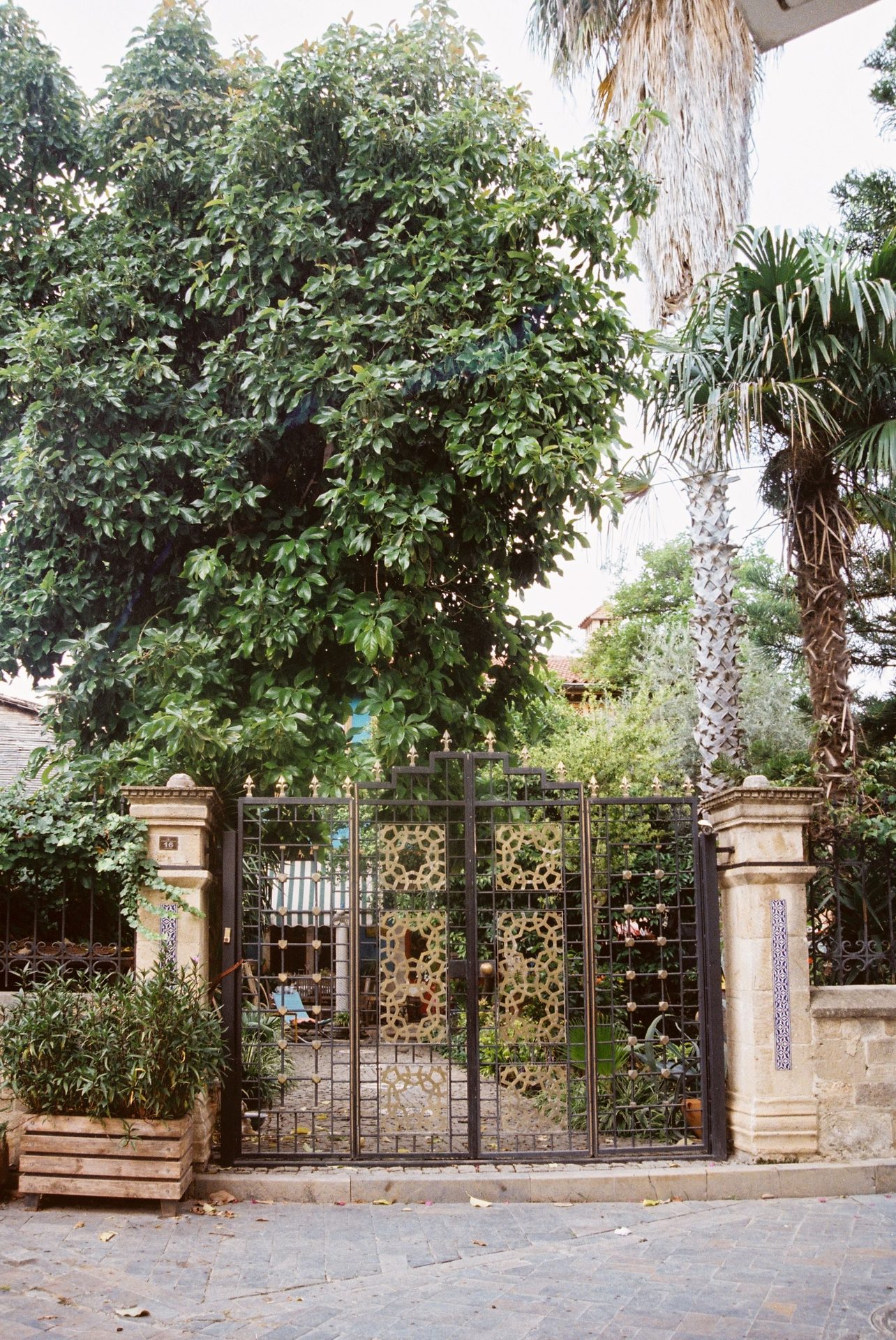 Acceso de un fraccionamiento privado: reja ornamentada rodeada de vegetación