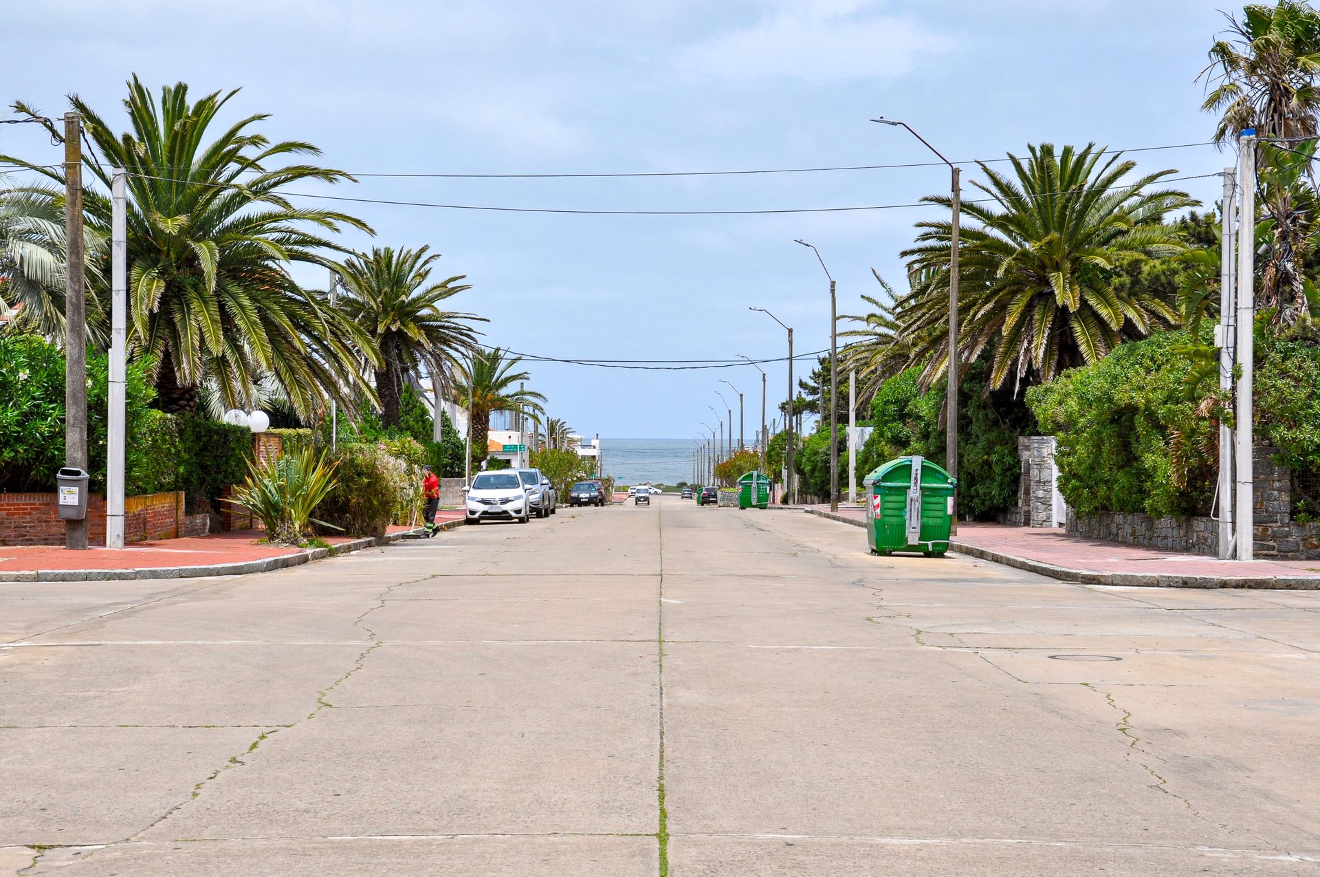 Residenciales en venta cerca del mar: calle con palmeras
