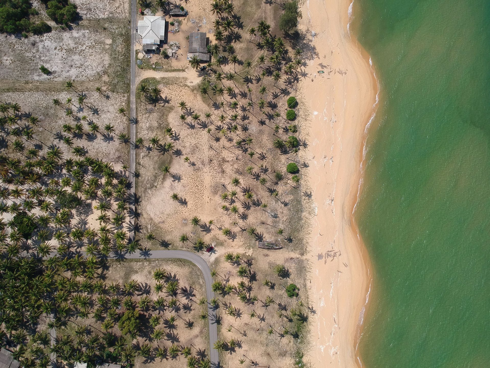 Vista aérea de terrenos en la playa con palmeras junto al mar