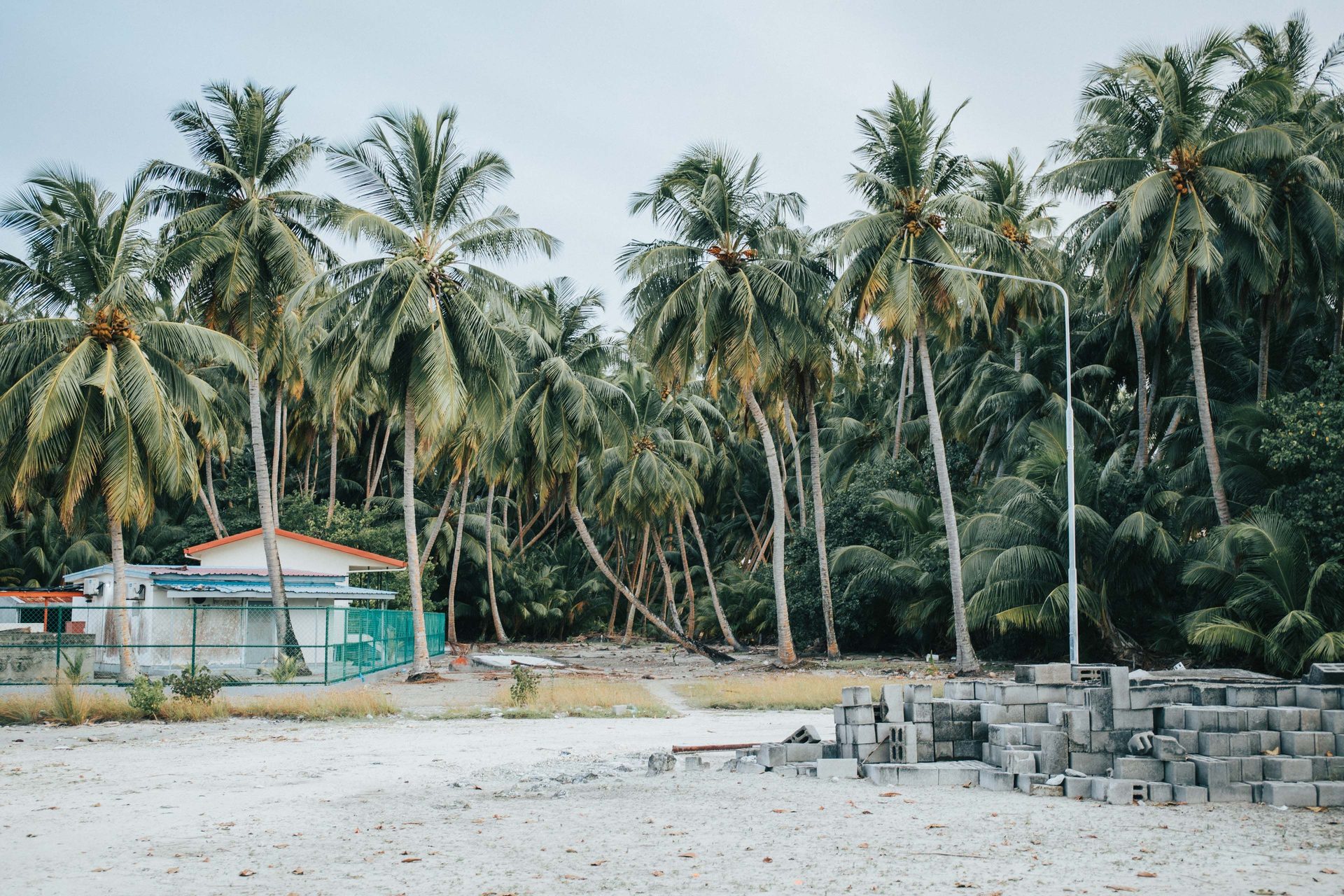 Terrenos en la playa: palmeras sobre arena blanca junto al mar